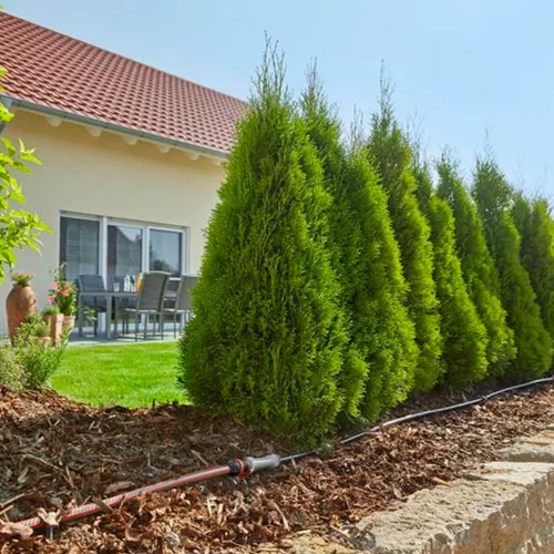Gardena csepegtető indulókészlet növénysorokhoz M (13011-20)