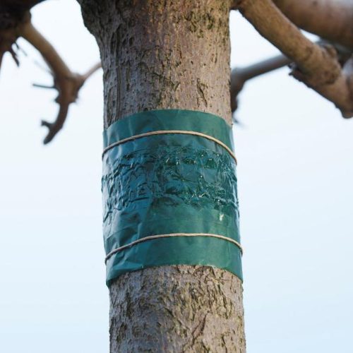 Nature rovarcsapda fatörzsre 150cm (6060134)