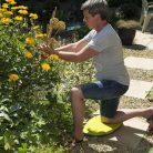 Nature térdeplő 5cmx50.5x29cm (6072427)