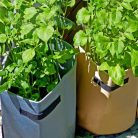 Nature burgonya termesztő zsák 48 literes bézs 43x33 cm (6072439)