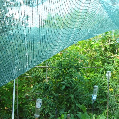 Raschel lapkelme 1.2x10m zöld