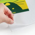 Glueband ragacslap rágcsálók és rovarok ellen (IMRABANDPM00)