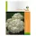 Royal Sluis karfiol Suprimax 0.5g