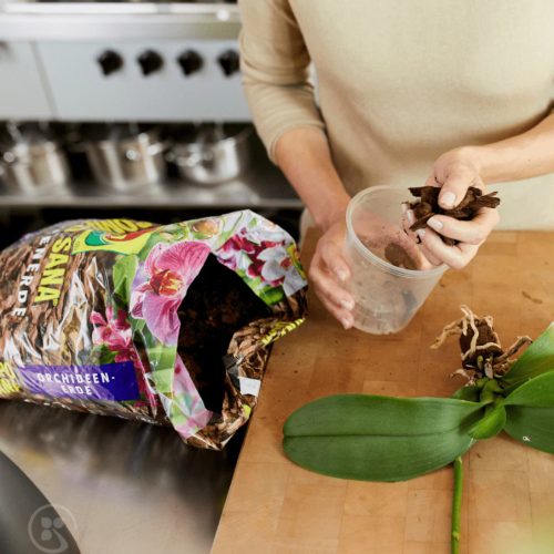 Compo orchidea virágföld 5l