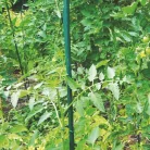 Műanyag bevonatos acélkaró d=11mm 150cm zöld