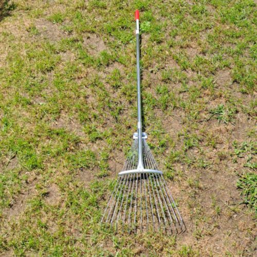 Cortex lombseprű fémnyelű állítható