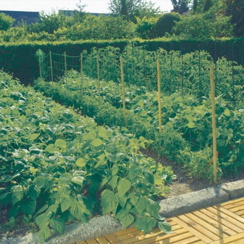 Nortene növénytartó háló 1.7x20m 150x170 zöld