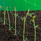 Nortene növénytartó háló 1.7x20m 150x170 zöld