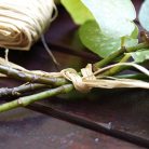 Raffia természetes natúr 50g